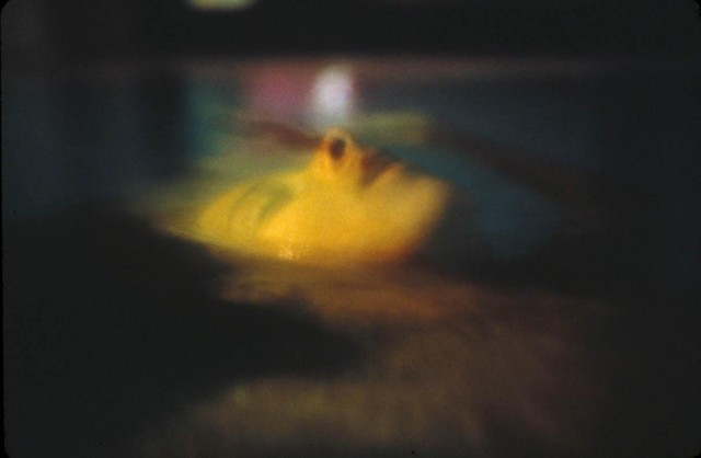 im-wasser-traeumen-lt